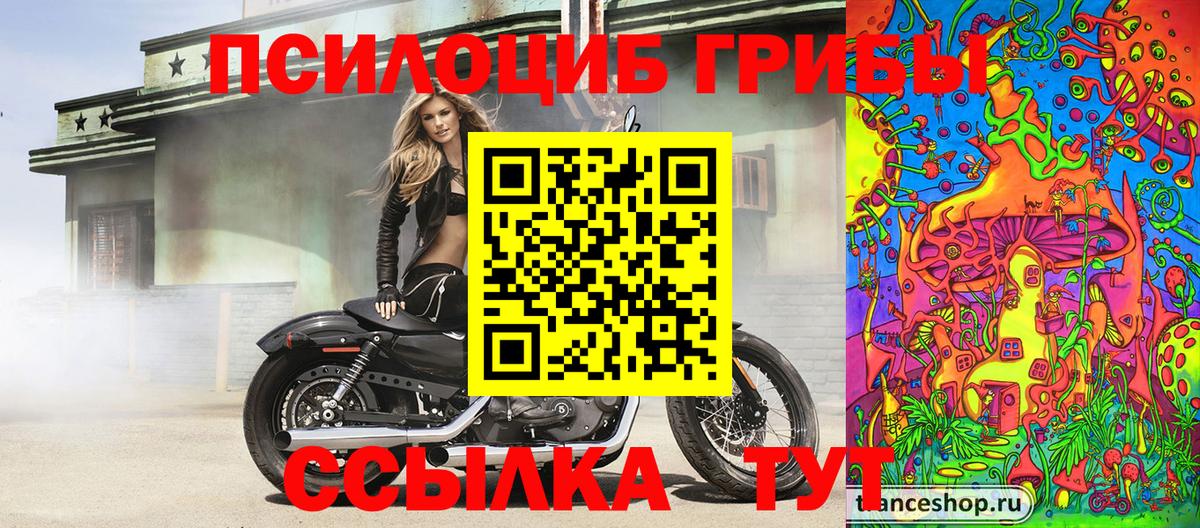 Псилоцибиновые грибы Psilocybine cubensis  Вход с VPN  Нарткала 